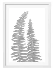 [Profile Australia] Australian Made Watercolour Fern Leaves Black Art Print A1 in White Frame