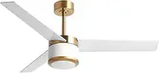 reiga 52" Ceiling Fans with Smart Lights, Reversible Motor, High Airflow, 6 Speed, Ceiling Fan by Pafond, Control with WiFi Alexa APP