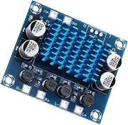 SECFOU Dual Channel Amplifier Board Compact Audio Amp Module with Volume Control Compatible with Power Supply for Enhanced Audio Experience Various Settings