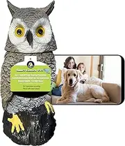 Ugold Indoor Camera Owl, Home Security Camera Owl with Rotatable Head, Night Vision, 2-Way Audio, Works with Phone, Decoration for Home