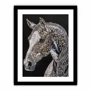 Horse Art Framed print Poster