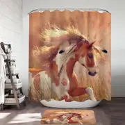 Sun Dancer the Native American Horse Shower Curtain