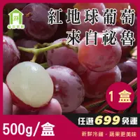 在飛比找momo購物網優惠-【每日宅鮮】任選$699免運 祕魯紅地球葡萄(500g／±5