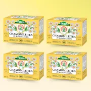 Tadin Chamomile Herbal Tea, 24 Bags – Relaxing and Natural, 0.76 fl oz (4-Pack)