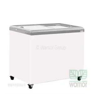 [特價]HiRON 海容 390公升 玻璃推拉冷凍櫃 HSD-458 (跨區費用另計)