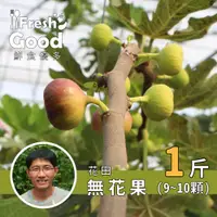 在飛比找蝦皮購物優惠-【鮮食優多】 花田  有機轉型無花果