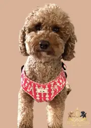 New Step-In Dog Harness Cute Prints Designer Pink (XS, S, M, L)