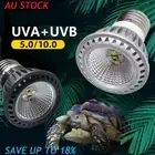 Basking Light Bulb UVA UVB Concave And Convex Mirror Full Spectrum LED Reptile