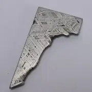 55g Muonionalusta meteorite slice R2008