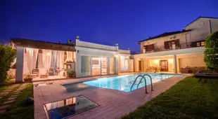 Nikol's Elegant Mansion with Pool!