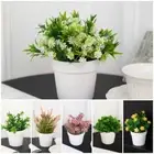 Evergreen Artificial Plant Bonsai Plastic Plant Bonsai Plants Garden