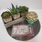 Urban Decay Vegan Palette W Primer & Pencil, NIB, MINX URB TWICE BAKED SMOG RARE