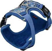 [Puppia] Cynthia Dog Harness H Sturdy Adjustable Neck and Chest Reflective Flower Pattern Front and Back D-Ring for Small and Medium Dogs, Blue, Small
