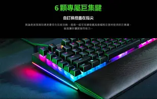 Razer 雷蛇 BLACKWIDOW V4 黑寡婦蜘幻彩版【綠軸】機械式電競鍵盤 機械式鍵盤 電競鍵盤