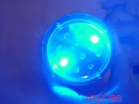 在飛比找Yahoo!奇摩拍賣優惠-【全冠】DC12V E27 2顆 藍光 LED燈 植物燈 舞