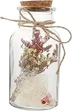 HAMPPLIES Practical Glass Wishing Bottle with Cork Stopper DIY Craft Jar for Wedding Decorations Party Favors and Unique Style