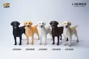 JXK JXK089 1/6th Labrador Resin Animal Statue Model Fit 12'' Action Figure Toy