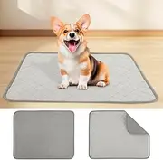 DJAPWPX 2 Pcs Reusable Puppy Pad, Water Absorbent Dog Training Pad, Nonslip Washable Pee Mat, Waterproof Floor Mat for Dogs Home Floor Crate (Gray, M)