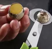 Pigeon Or Quail Egg Scissors ~~~Cracker~ Random Colour