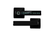 Fingerprint Door Lock Smart Door Knob Keyless Entry Door Lock with Handle for Bedroom Home Hotel Office Apartment-Black