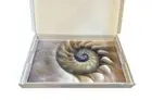 $325 NEW NICOLETTE MAYER COLLECTION Acrylic Tray 22.5”x14.5” Seashell Beach