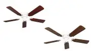 Ceiling Fan with Pull Cord Kisa Deluxe White 105 CM Blades Rosewood Walnut
