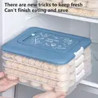 Freeze Dumplings Storage Box Transparent Egg Preservation Time Scale Fridge