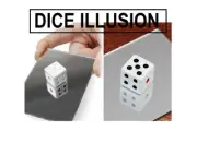 MAGIC DICE ILLUSION TRICK - AS SEEN ON TV