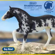 Breyer Stablemate Club 2023 Lanin