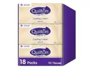 Quilton Cooling Lotion 3 Ply 95 Tissues Pack, 18 packs |AU