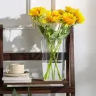 Unbreakable Hydroponics Flowerpot Round Square Box Planter Cafe Restrant