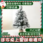 草屯出貨🔥聖誕樹 小聖誕樹 桌上聖誕樹 加密樹枝 聖誕樹套餐 家用 植絨落雪 聖誕樹商場 SDS-14