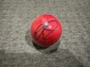 Cricket Australia NATHAN LYON Signed Cricket Ball Genuine Authentic GOAT