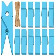 Clothes Pins Mini Clothespins - 100 PCS Wooden Paper Photo Clips Tiny Blue