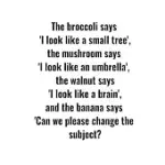 THE BROCCOLI SAYS ’’I LOOK LIKE A SMALL TREE’’, THE MUSHROOM SAYS ’’I LOOK LIKE AN UMBRELLA’’, THE WALNUT SAYS ’’I LOOK LIKE A BRAIN’’, AND THE BANANA SAYS