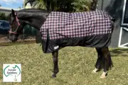 Bounty Hunter Light Winter Horse Rug FREE SHIPPING