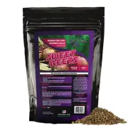 Sweet Beets | Food Plot Seed