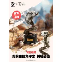 在飛比找蝦皮商城精選優惠-動物星球 預購 真工房 寫實系列 茉莉白守宮