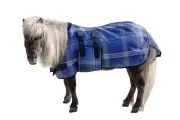 Kensington Signature Mini Textilene Protective Fly Sheet