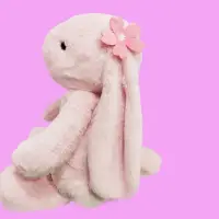 在飛比找蝦皮商城精選優惠-可愛粉色抱抱櫻花兔子毛絨公仔玩具長耳兔玩偶布娃娃