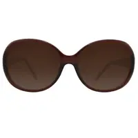 在飛比找PChome24h購物優惠-LOEWE 西班牙皇室品牌羅威經典3LOGO太陽眼鏡(咖啡)