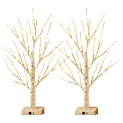 24LT 60.96cm Lighted Birch Tree - Warm White Christmas Lights