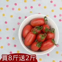 在飛比找台灣好農優惠-花田有機玉女小番茄(買8送2)超值優惠組 限時限量