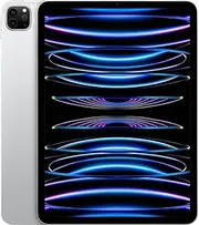 Apple 11-inch iPad Pro (Wi-Fi, 1TB) - Silver (4th Generation)