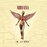 Nirvana - In Utero - 30th Anniversary Super Deluxe Edition Boxset CD
