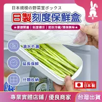 在飛比找蝦皮購物優惠-日本製 保鮮盒 冷凍保鮮盒 分隔保鮮盒 肉片保鮮盒 密封保鮮