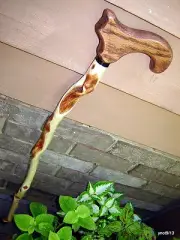 beautiful DIAMOND WILLOW dimple CANE RED OAK handle~walking stick gift~made USA