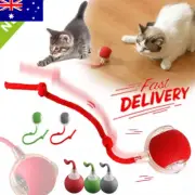 Smart Rollerball Self Hi Cat Playstick, Kitten Charging Cat Playball B1X0 DS