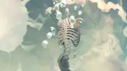 Anime bones surreal Custom Gaming Mat Desk