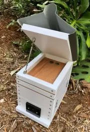 Harvest Honey From Your Own BeeHive Stingless Australian Native Bee Frame Roof